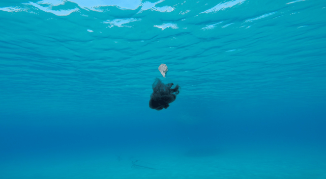 Στιγμιότυπο 2016-08-02, 10.58.01 πμ.png