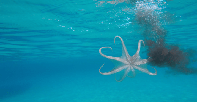 Στιγμιότυπο 2016-08-02, 11.00.16 πμ.png