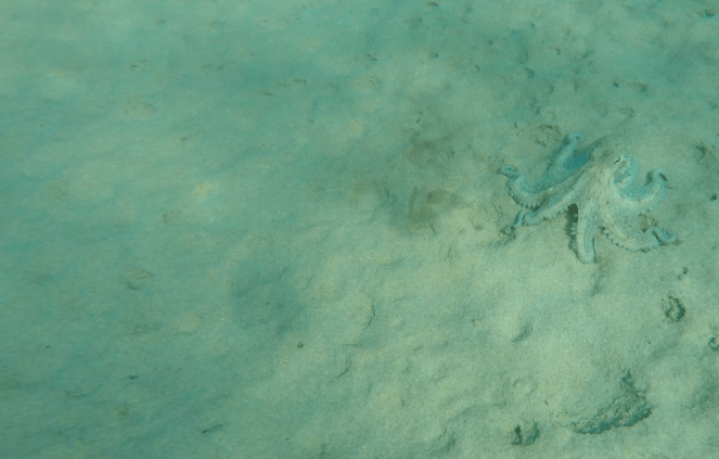 Στιγμιότυπο 2016-08-02, 11.02.45 πμ.png