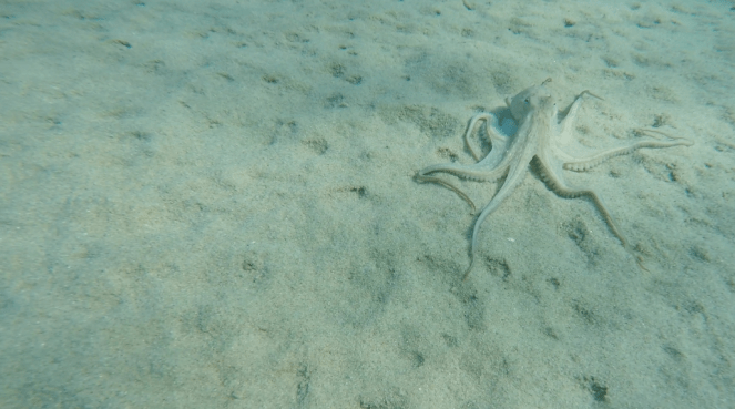 Στιγμιότυπο 2016-08-02, 11.05.44 πμ.png