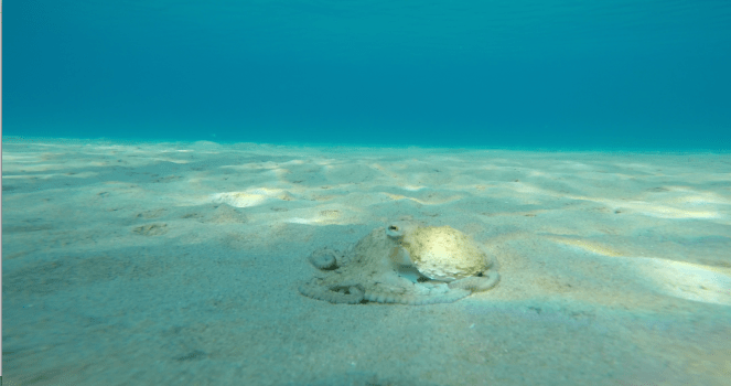 Στιγμιότυπο 2016-08-02, 11.07.15 πμ.png